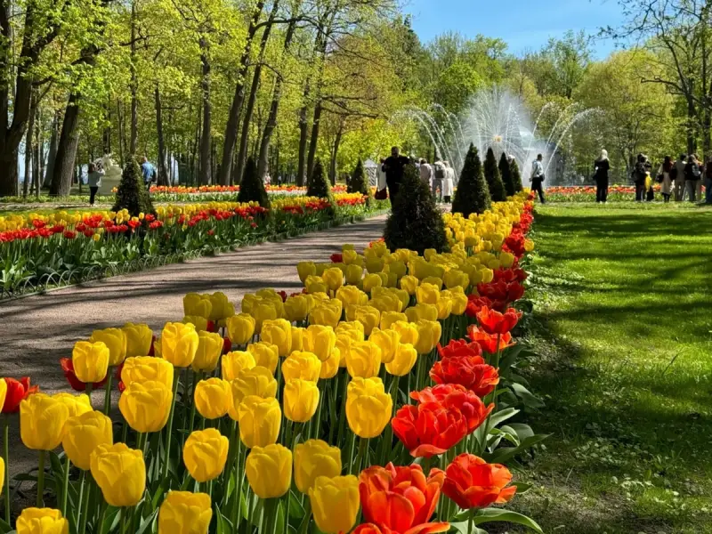 Парк и фонтаны Петергофа (всё включено)